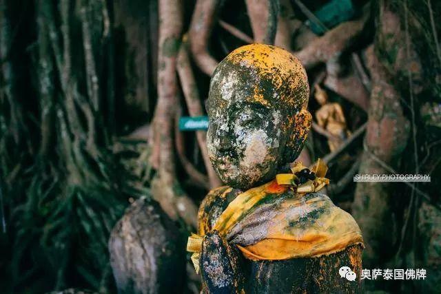 泰国灵验佛寺带你领略 鬼斧神工的树中的庙宇-图片7