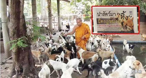 泰国流传的一些宗教禁忌，你知道几条？-图片6