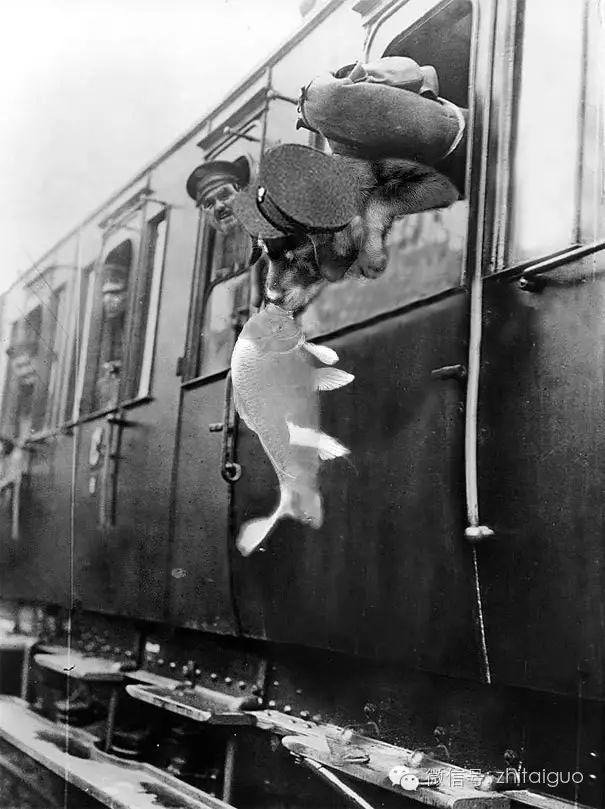 泰国一只想要上演“鱼汪之恋”的汪星人【泰国佛牌】 泰国一只想要上演“鱼汪之恋”的汪星人【泰国佛牌】