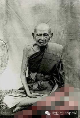 泰国五大冠兰圣物之一麦退-图片2