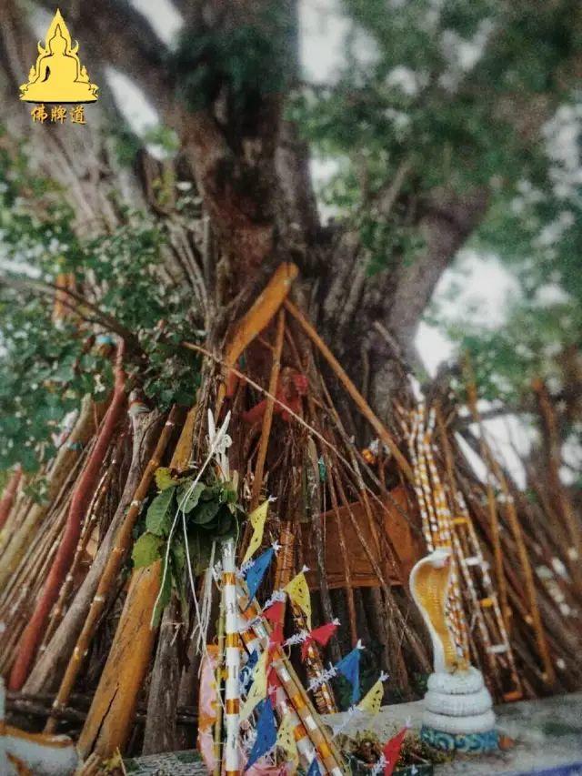 佛牌道24：古巴悟师父远程“四合一法事”掠影-图片17