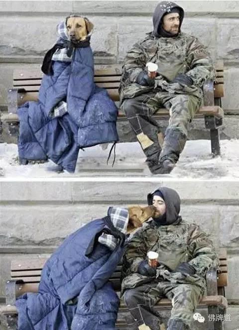 看完你能忍到第几张不哭?【泰国佛牌】 看完你能忍到第几张不哭?-图片8