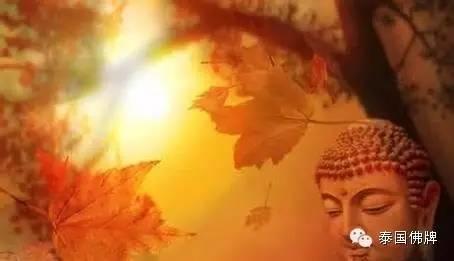 说相由心生,该如何作为?【泰国佛牌】 说相由心生,该如何作为?-图片3