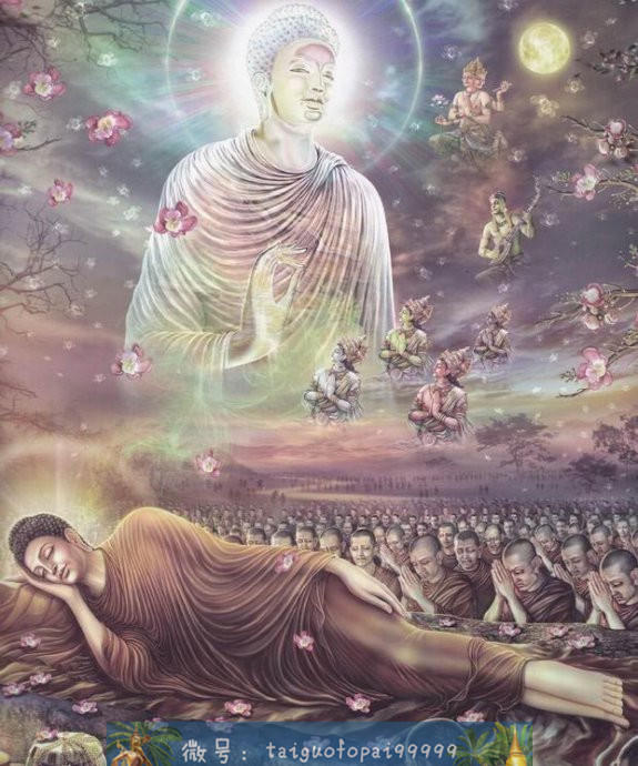 释迦摩尼的一生(第五卷)【泰国佛牌】 释迦摩尼的一生(第五卷)-图片5