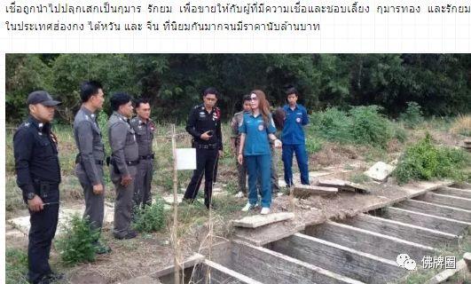 3.15 曝光一波“师傅”&“佛牌”！【泰国佛牌】