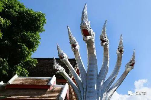 泰国至今未解奇观，蛇神娜迦吐珠现象！【泰国佛牌】