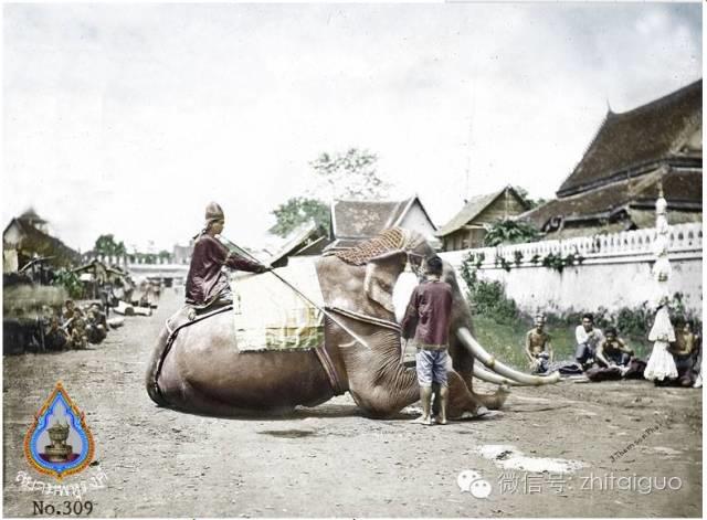 老照片，讲述古老泰国真实容貌（海量图）-图片8