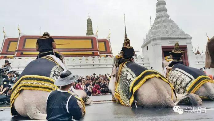 泰国大象悼念国王普密蓬 行叩拜礼【泰国佛牌】 泰国大象悼念国王普密蓬 行叩拜礼【泰国佛牌】
