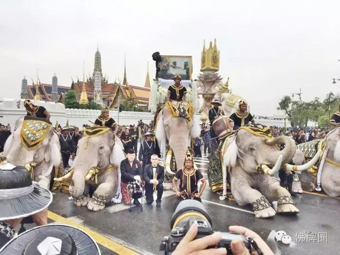 泰国大象悼念国王普密蓬 行叩拜礼【泰国佛牌】 泰国大象悼念国王普密蓬 行叩拜礼【泰国佛牌】