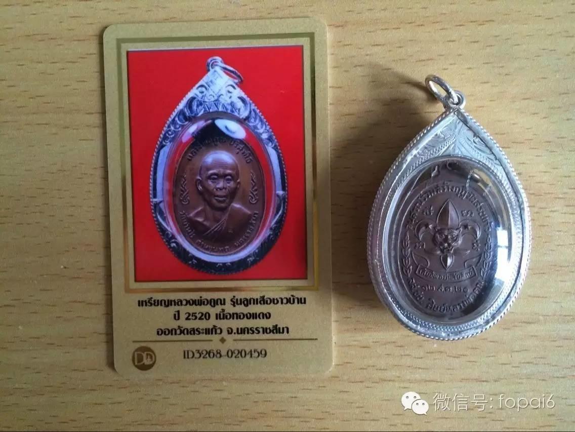 重温龙婆坤十大自身-图片8