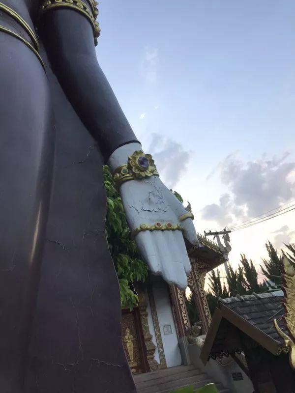 【会员活动】捐赠功德树–古巴悟师父“开示佛祖”-图片9