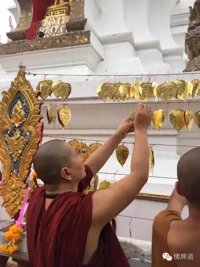 佛牌道-祈福许愿菩提叶【泰国佛牌】 佛牌道-祈福许愿菩提叶-图片2