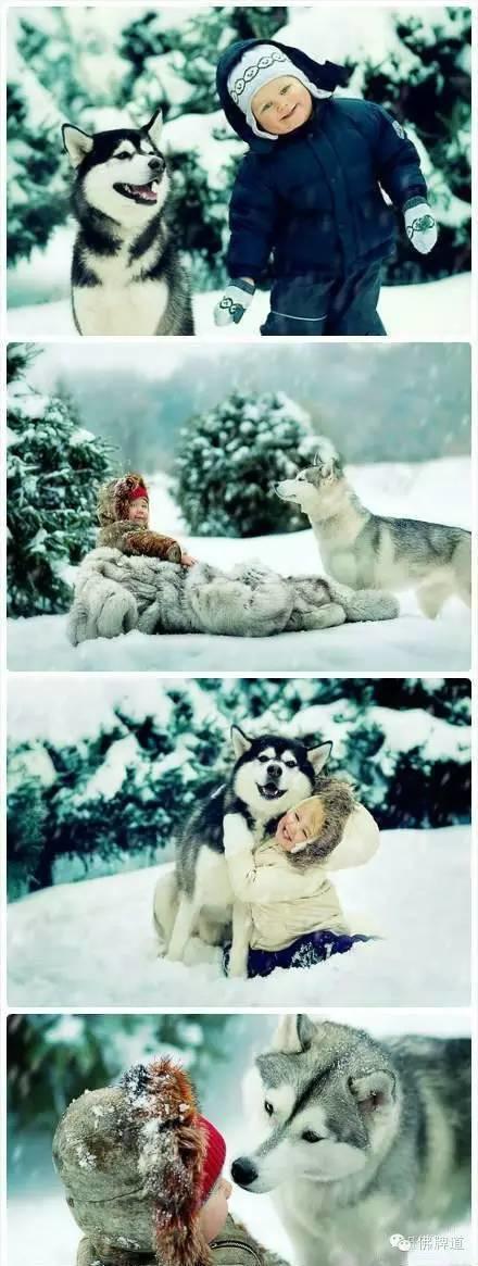 看完你能忍到第几张不哭?【泰国佛牌】 看完你能忍到第几张不哭?-图片15