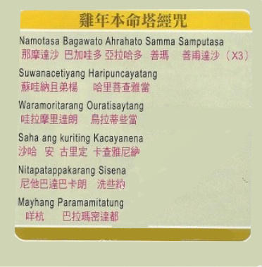 十二生肖本命经咒-图片11