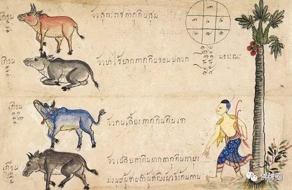 泰国古代的十二生肖图鉴-图片3