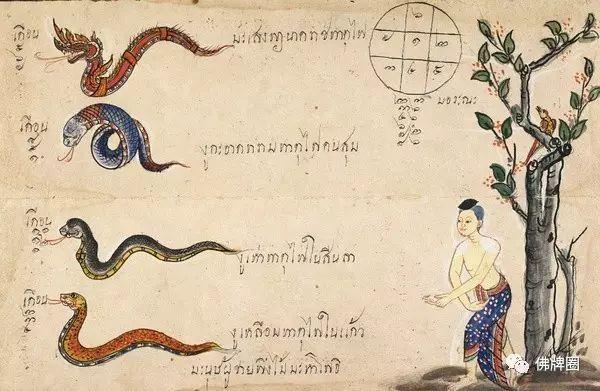 泰国古代的十二生肖图鉴-图片6