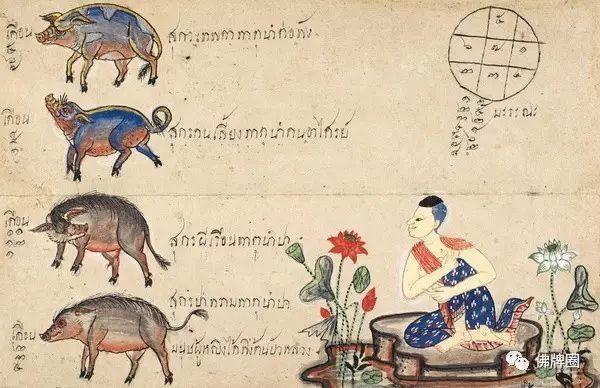 泰国古代的十二生肖图鉴-图片13