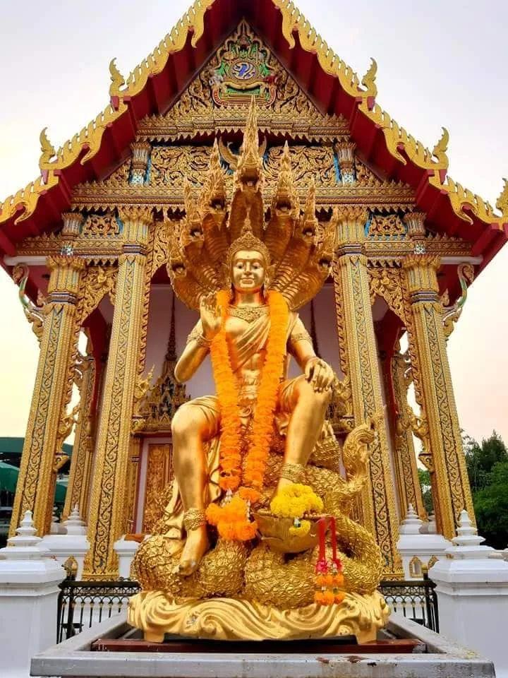 佛牌道51: “鹰神圣僧”--龙婆瓦拉（下）“御僧神鹰”【泰国佛牌】