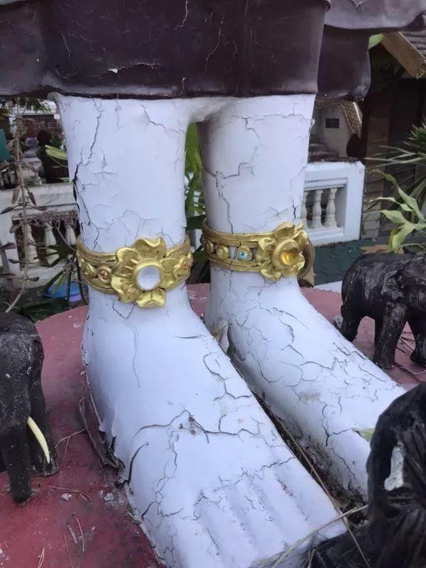 【会员活动】捐赠功德树–古巴悟师父“开示佛祖”-图片5