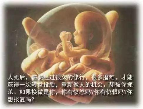 佛牌道–婴灵超度报名（堕胎的危害）-图片3