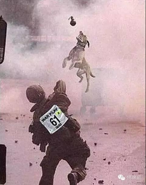 看完你能忍到第几张不哭?【泰国佛牌】 看完你能忍到第几张不哭?-图片4