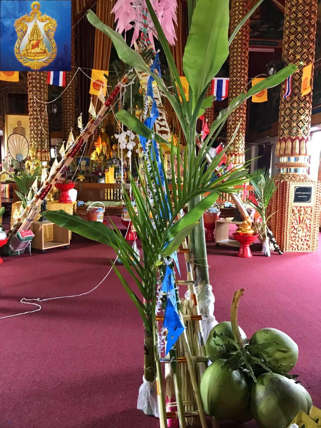 【活动】古巴悟师父远程四合一法式报名【泰国佛牌】 【活动】古巴悟师父远程四合一法式报名【泰国佛牌】