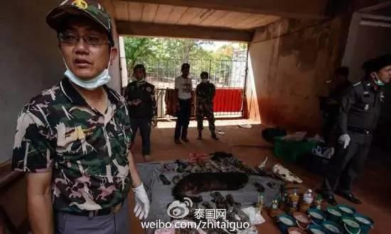 庙里不一定供的是菩萨--泰国虎庙【泰国佛牌】 庙里不一定供的是菩萨–泰国虎庙-图片17