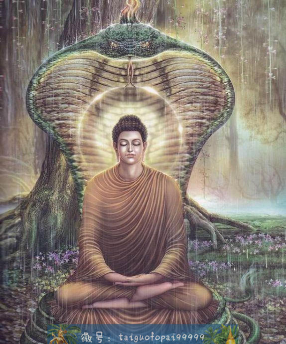 释迦摩尼的一生(第三卷)【泰国佛牌】 释迦摩尼的一生(第三卷)-图片3