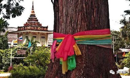 泰国流传的一些宗教禁忌，你知道几条？-图片4