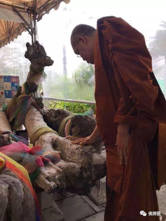 女工遭树神附身 央求重见天日？-图片3