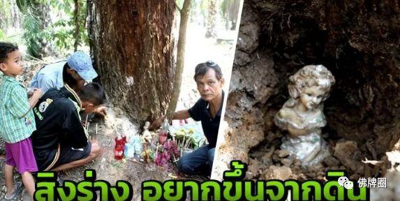 女工遭树神附身 央求重见天日？-图片1