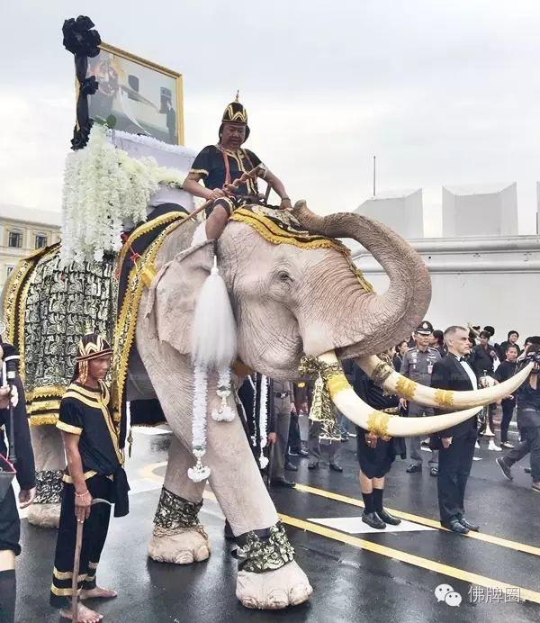 泰国大象悼念国王普密蓬 行叩拜礼【泰国佛牌】 泰国大象悼念国王普密蓬 行叩拜礼【泰国佛牌】