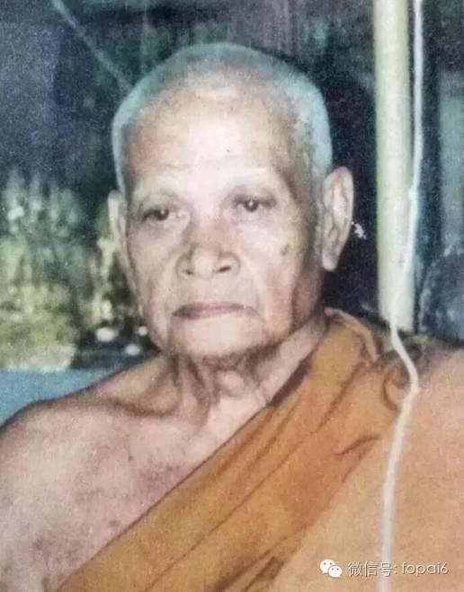 龙婆神尼与招财龟-图片2