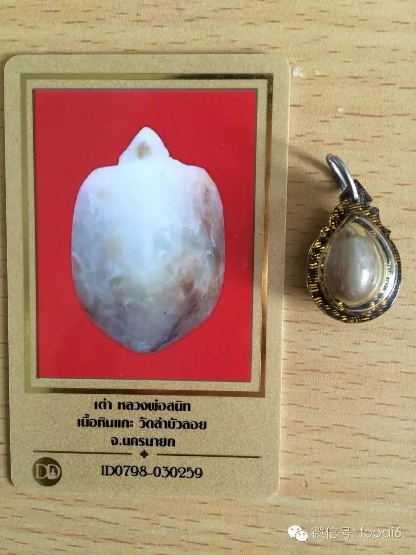 龙婆神尼与招财龟-图片4