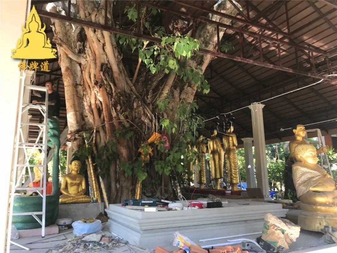 【活动现场】–帮助森林派师父–龙婆通波哇寺庙 建造“大型立尊像”-图片6