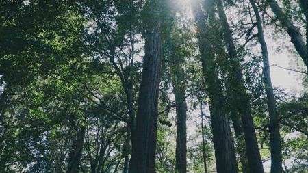 杂谈| 先媚世俗，後談理想－《波若波羅密心經》Rap版【泰国佛牌】