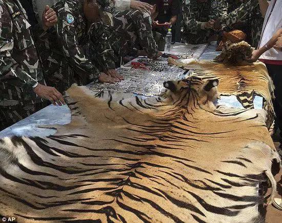 庙里不一定供的是菩萨--泰国虎庙【泰国佛牌】 庙里不一定供的是菩萨–泰国虎庙-图片8