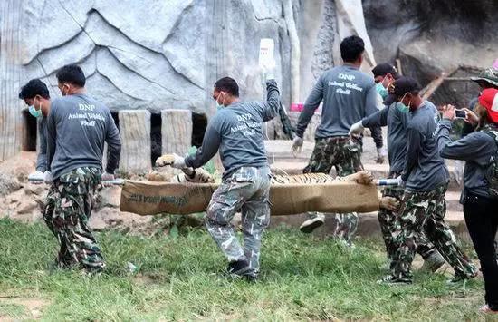 庙里不一定供的是菩萨--泰国虎庙【泰国佛牌】 庙里不一定供的是菩萨–泰国虎庙-图片11