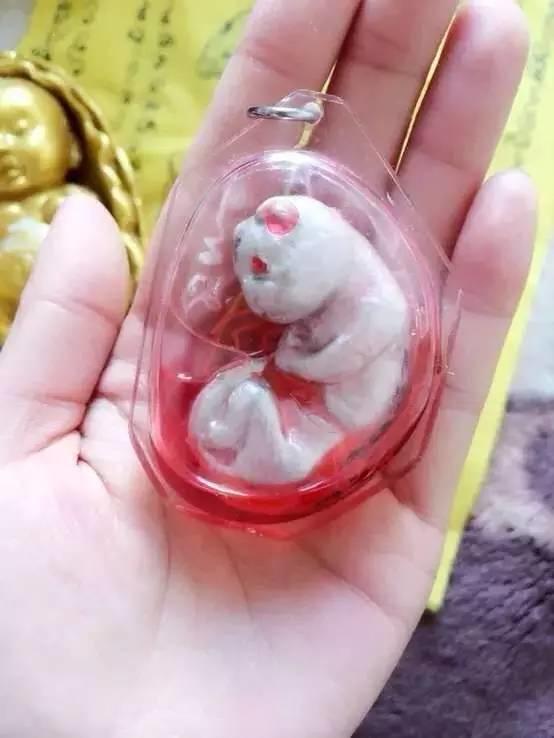 可爱的外表下-图片5