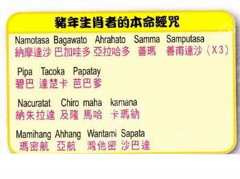 十二生肖本命经咒-图片13