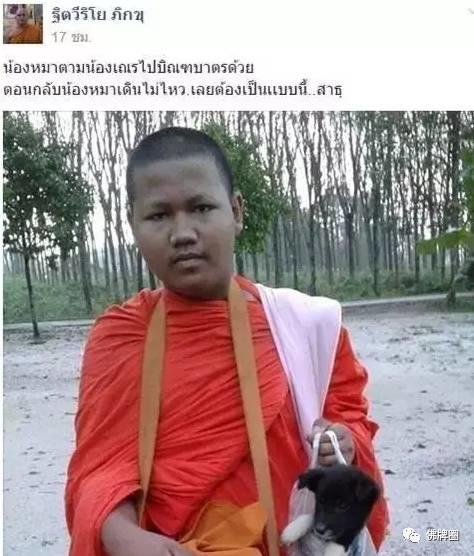 图观|好温暖！小狗走不动了，我提着它走！（僧人救助流浪小狗）【泰国佛牌】