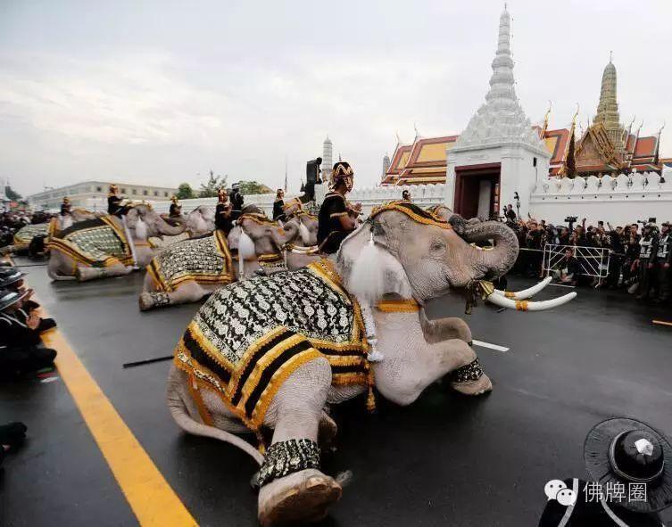 泰国大象悼念国王普密蓬 行叩拜礼【泰国佛牌】 泰国大象悼念国王普密蓬 行叩拜礼【泰国佛牌】