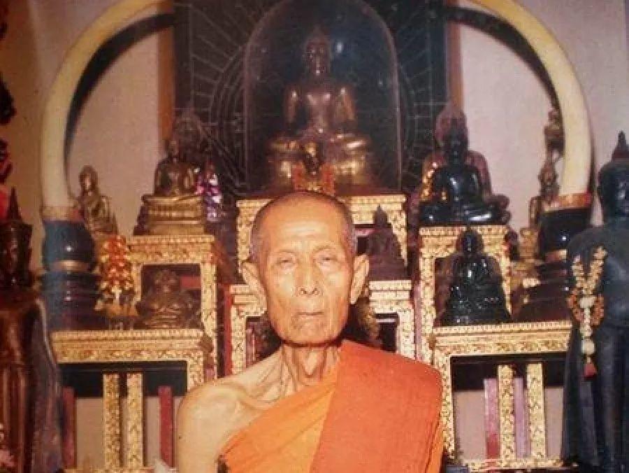 图鉴| 龙婆多图鉴（2）-图片2