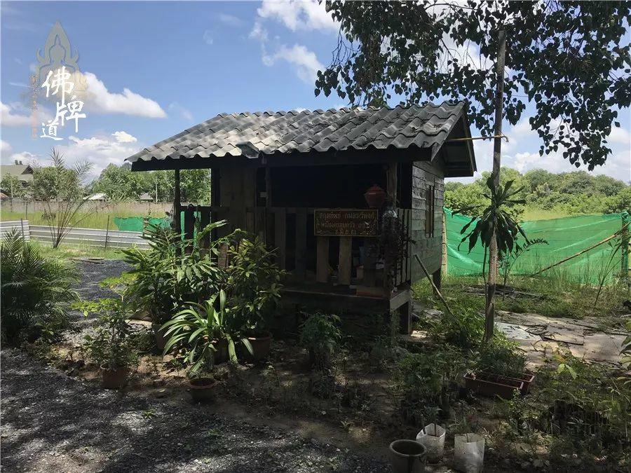 【功德活动】龙婆弥猜师父寺庙急待修缮【泰国佛牌】 【功德活动】龙婆弥猜师父寺庙急待修缮-图片6