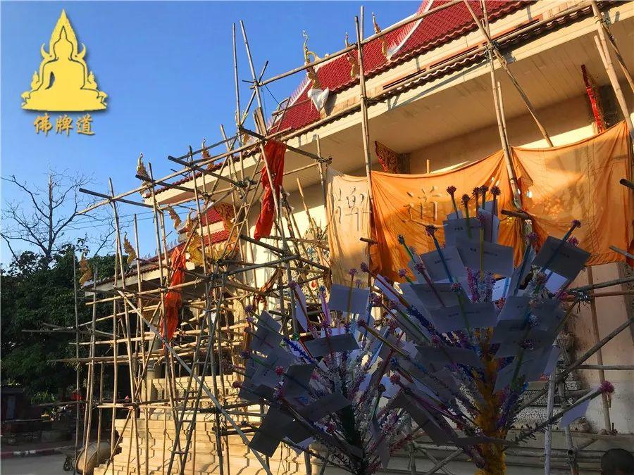 【会员活动现场】捐赠功德树–龙婆银班师父-图片5