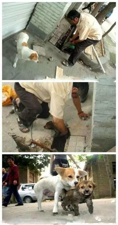 看完你能忍到第几张不哭?【泰国佛牌】 看完你能忍到第几张不哭?-图片11