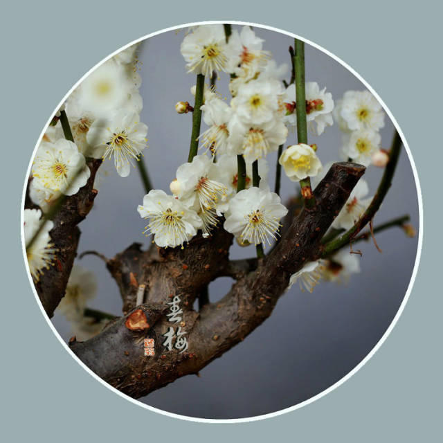 能打开任何人心结的一段话【泰国佛牌】