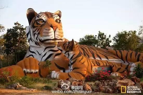 庙里不一定供的是菩萨--泰国虎庙【泰国佛牌】 庙里不一定供的是菩萨–泰国虎庙-图片18