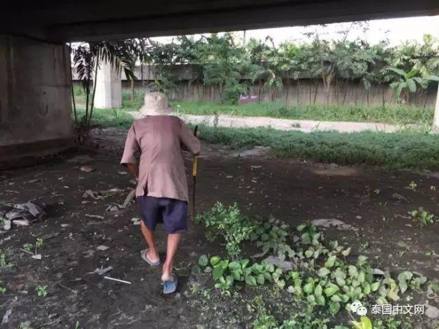 90岁泰国老人为活着,漂泊他乡打工,住垃圾场被人赶!【泰国佛牌】 90岁泰国老人为活着,漂泊他乡打工,住垃圾场被人赶!【泰国佛牌】