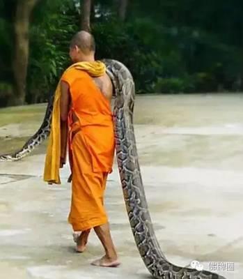 泰国刺符的背后，你能得到你想要的和不想要的-图片8